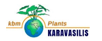 KARAVASILIS PLANTS - KBM 