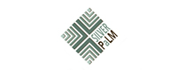 Silver Palm