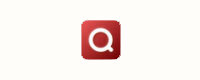 Q DIGITAL SERVICES PC